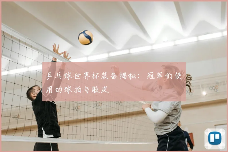乒乓球世界杯装备揭秘：冠军们使用的球拍与胶皮