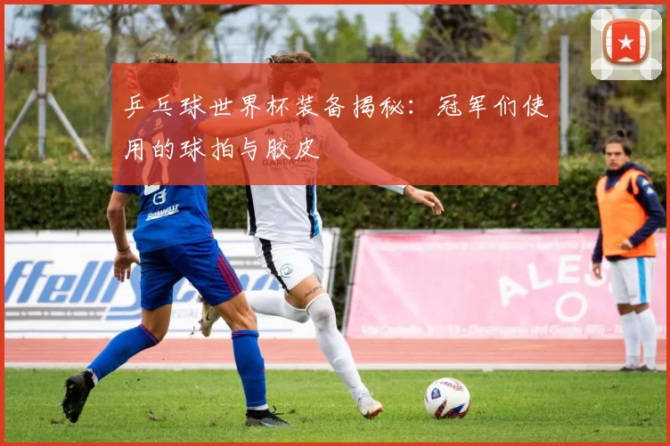 乒乓球世界杯装备揭秘：冠军们使用的球拍与胶皮