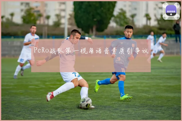 PeRo战队第一视角语音素质引争议